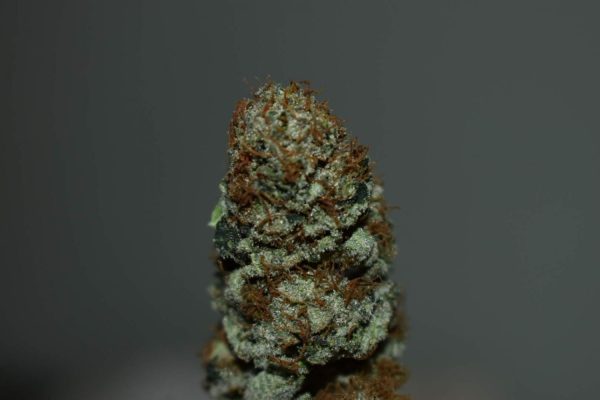 blackberry moonrocks cannabis strain