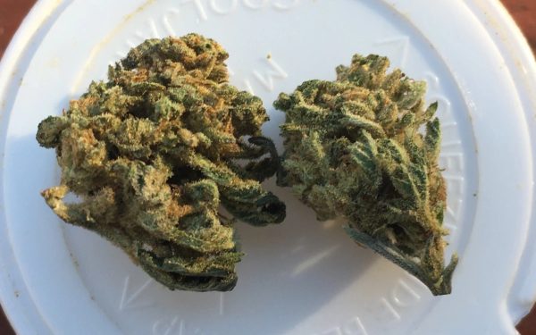 mac #4 marijuana strain online