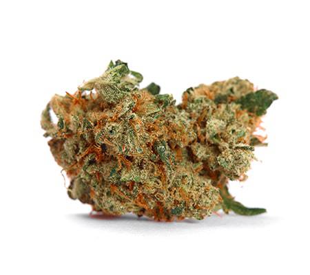 strawberry thai strain cannabis
