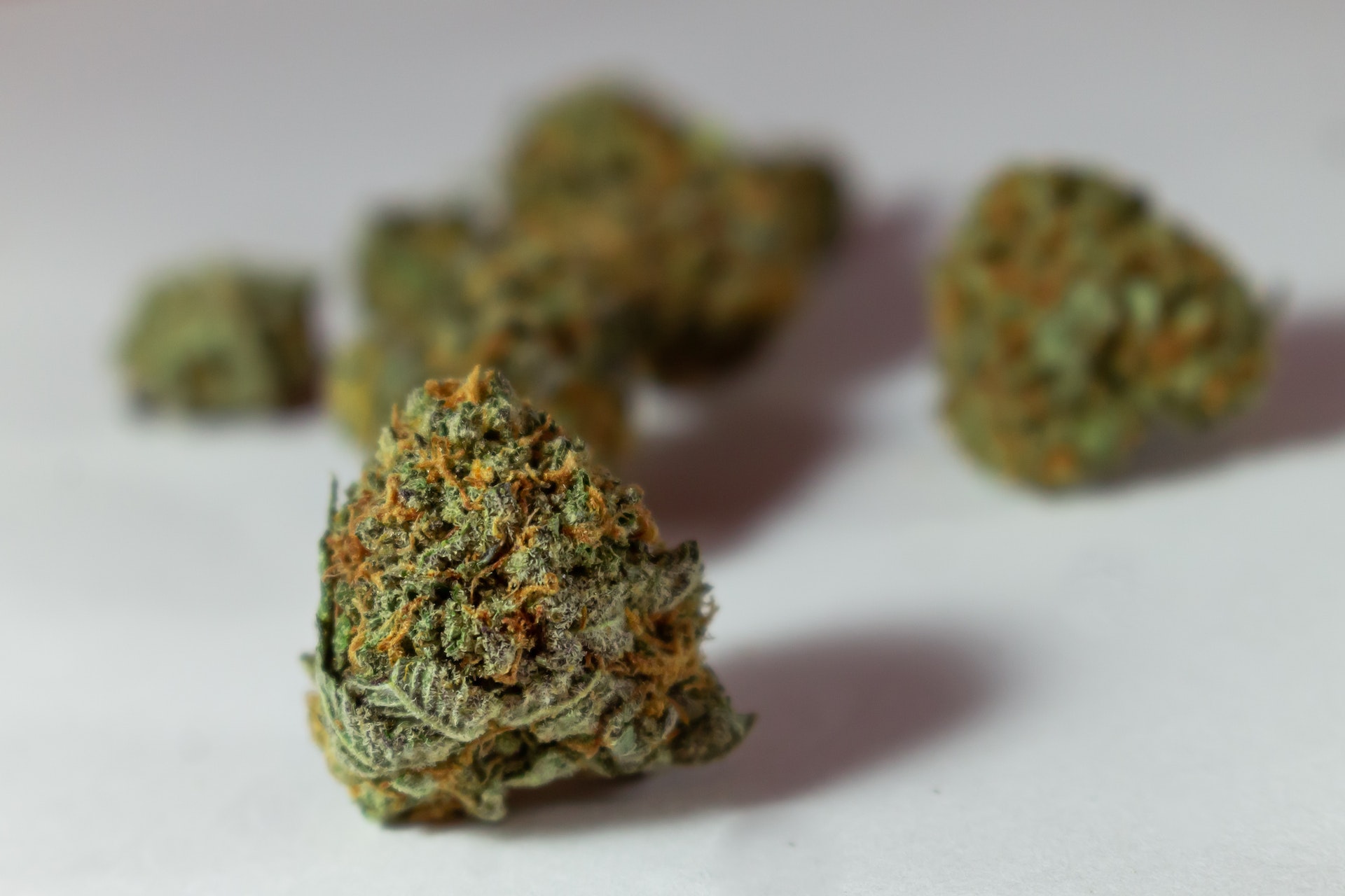 Hybrid Strains To Help You Unwind