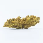 Golden Tiger Strain